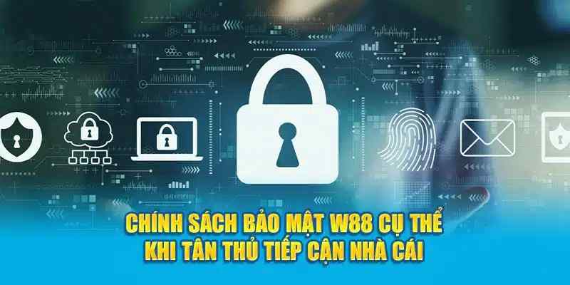 Tổng hợp quyền và nghĩa vụ được đề cập tại chính sách bảo mật