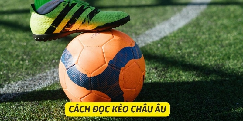 Cách đọc ký hiệu kèo Châu Âu W88 đơn giản và dễ hiểu nhất