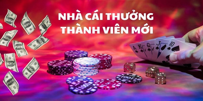 Nhà cái ABC8 đảm bảo quyền lợi người chơi